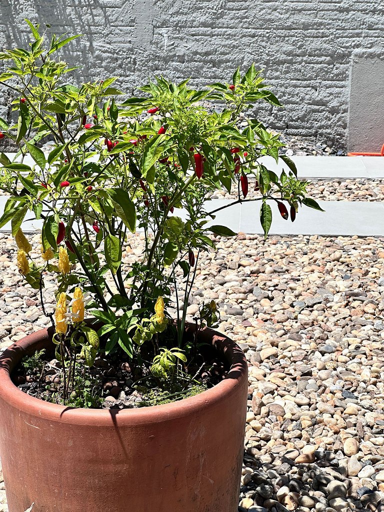 B508 - Ampla casa de praia perto do mar